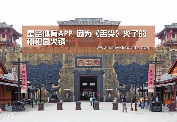 星空体育APP