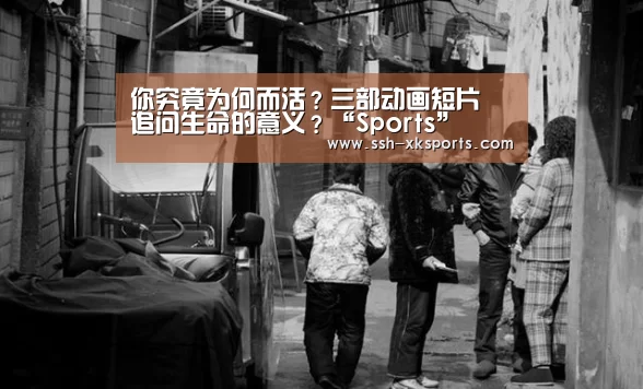 星空体育下载