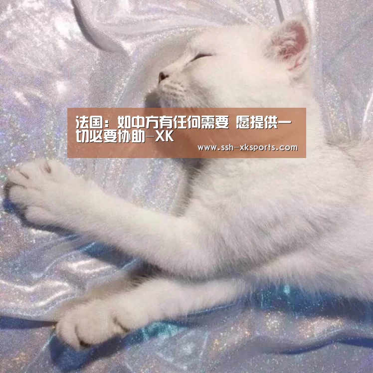 法国：如中方有任何需要 愿提供一切必要协助-XK(图1)