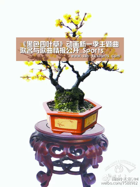 《黑色四叶草》动画新一季主题曲歌名与歌曲情报公开_Sports(图3)