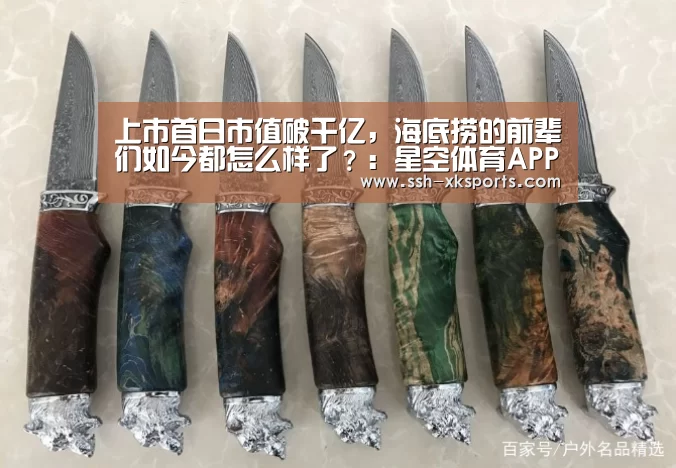 星空体育下载